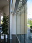 Lexus Showroom