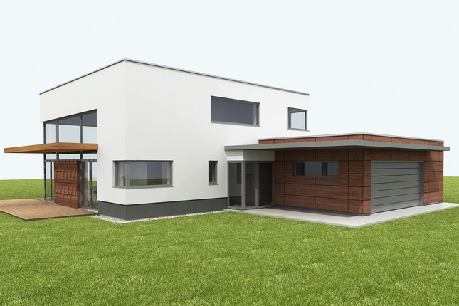 Young family house