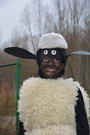 Oveka Shaun