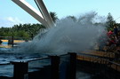 Loro Parque: splash zone