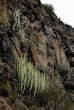 Barranco del Infierno